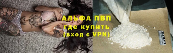 a pvp Коряжма