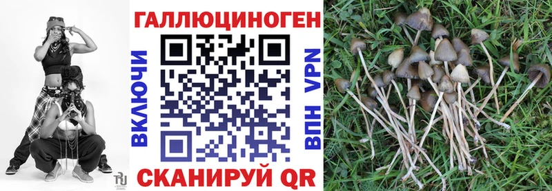 blacksprut вход  Нея  Псилоцибиновые грибы мухоморы 