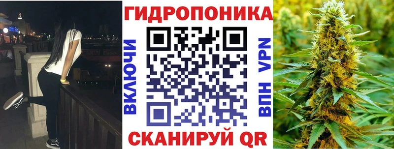 Канабис гибрид  Нея 